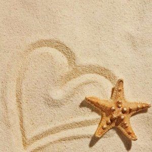 Meet your Posher, Terry